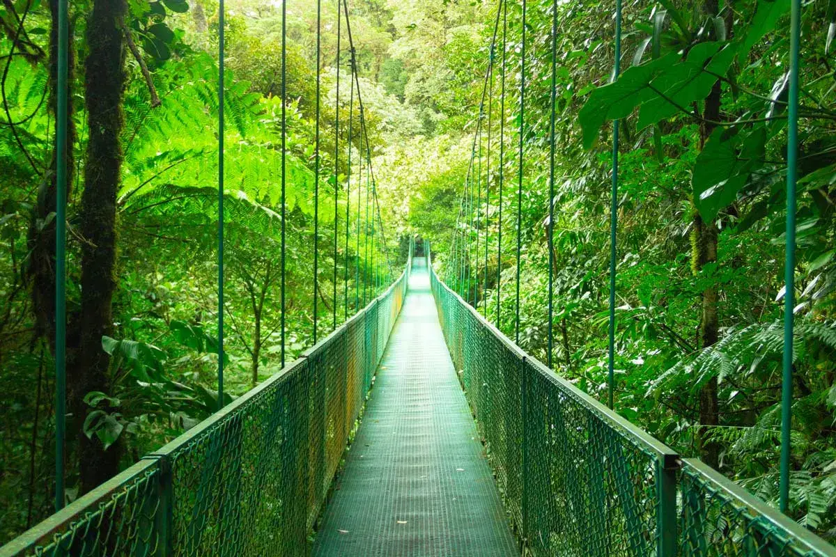 View of the bridge at Sky Adventures in Monteverde, Costa Rica