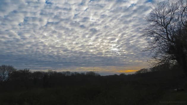 sky with dappled  cloud