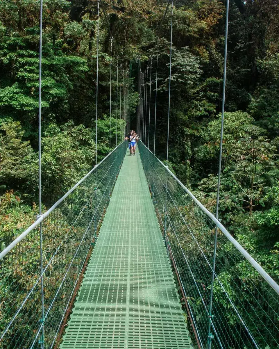  Sky Walk at Sky Adventures bridge in Monteverde, Costa Rica