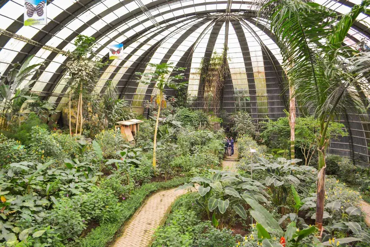 the largest butterfly exhibit at Selvatura Park in Monteverde, Costa Rica