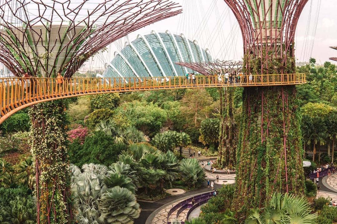 Singapore Gardens by the Bay blog