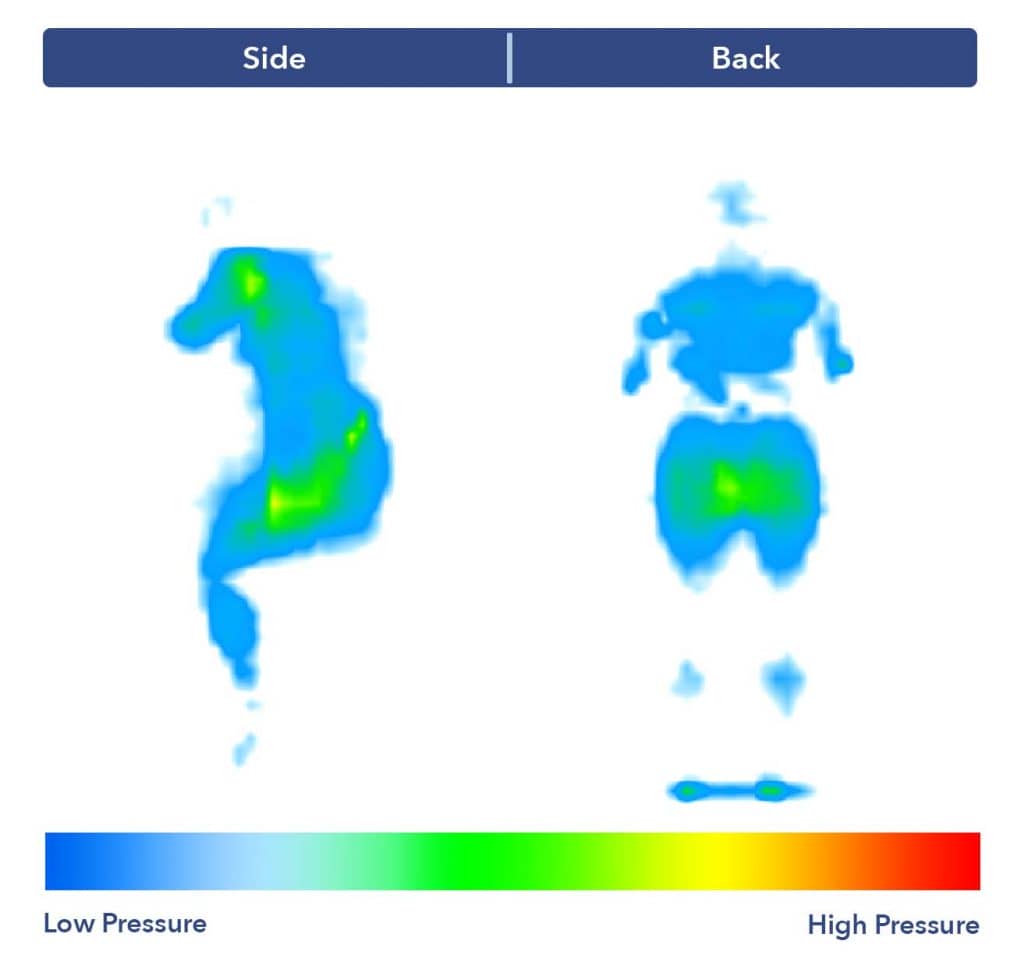 PressureMap Tempur Cloud