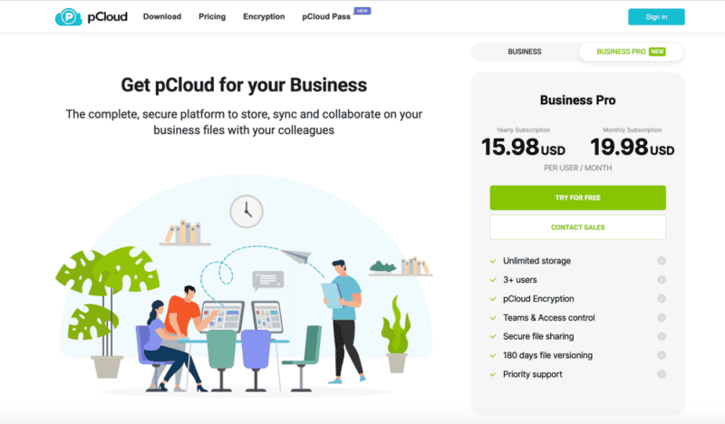 pcloud business pricing