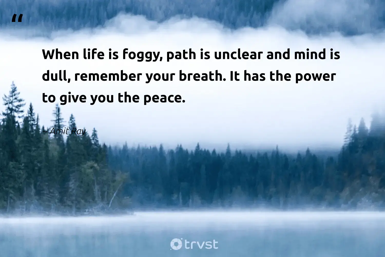 "When life is foggy, path is unclear and mind is dull, remember your breath. It has the power to give you the peace." -Amit Ray #trvst #quotes #gogreen #getoutside #foggydays #peace #mist #life #fogs 