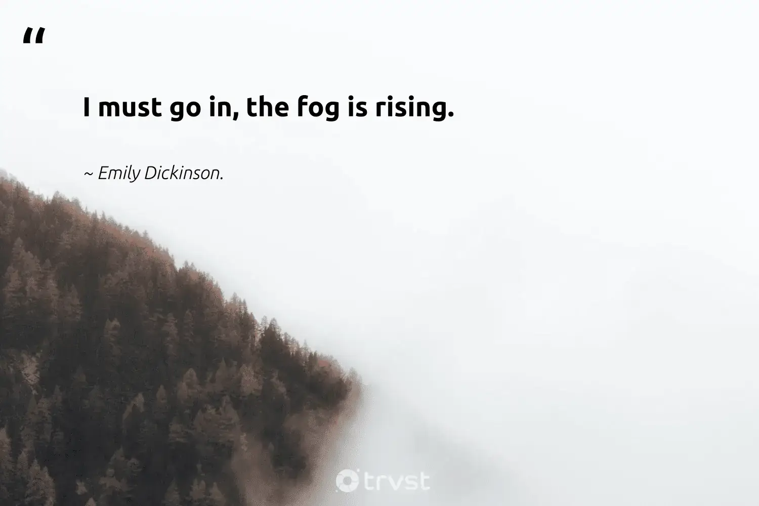 " I must go in , the fog is rising is rise . " -Emily Dickinson. #trvst #quotes #environment #getoutside #fogs #mist #fog #foggy #foggydays 