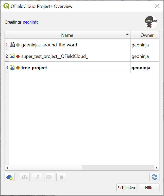 Vista d'insieme dei progetti in QFieldSync