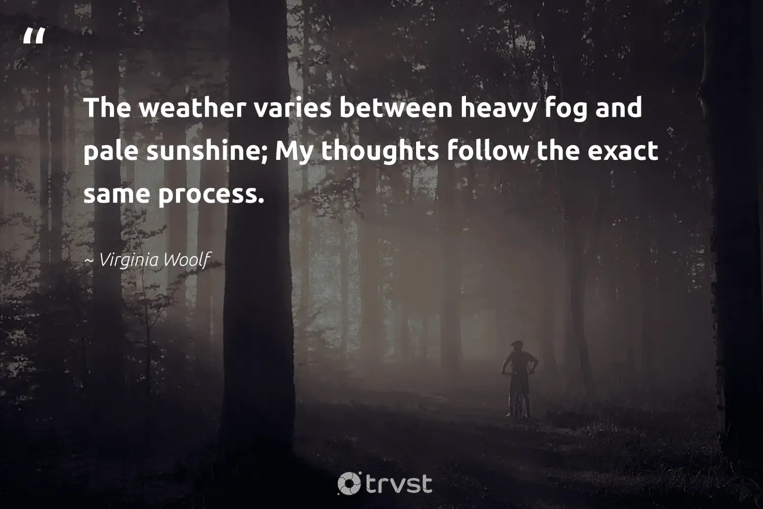 "The weather varies between heavy fog and pale sunshine; My thoughts follow the exact same process." -Virginia Woolf #trvst #quotes #wildernessnation #nature #foggydays #fog #foggy #mist #fogs 