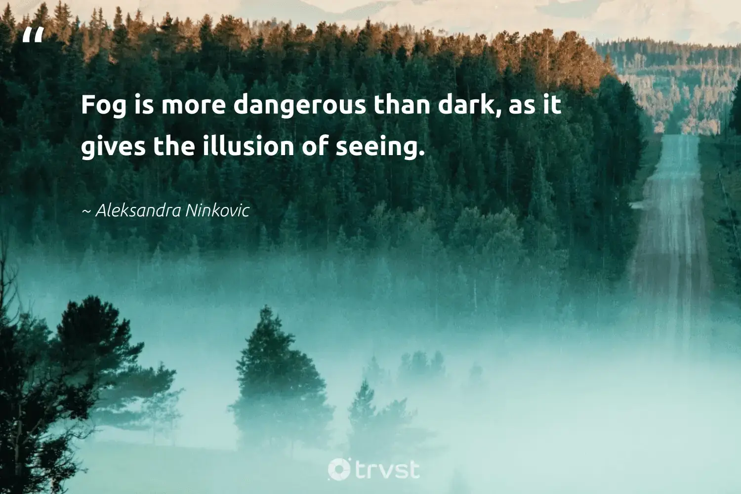 "Fog is more dangerous than dark, as it gives the illusion of seeing." -Aleksandra Ninkovic #trvst #quotes #wildernessnation #getoutside #fog #foggydays #mist #fogs #foggy 