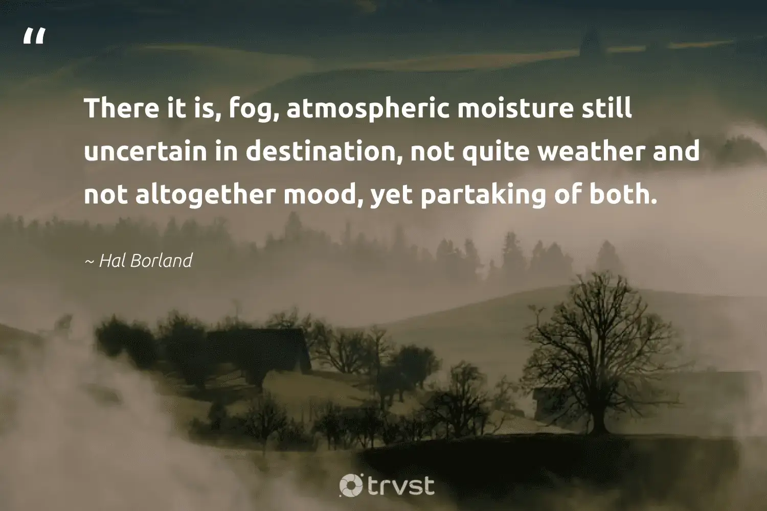 "There it is, fog, atmospheric moisture still uncertain in destination, not quite weather and not altogether mood, yet partaking of both." -Hal Borland #trvst #quotes #noplanetb #environment #mist #foggy #fog #fogs #foggydays 