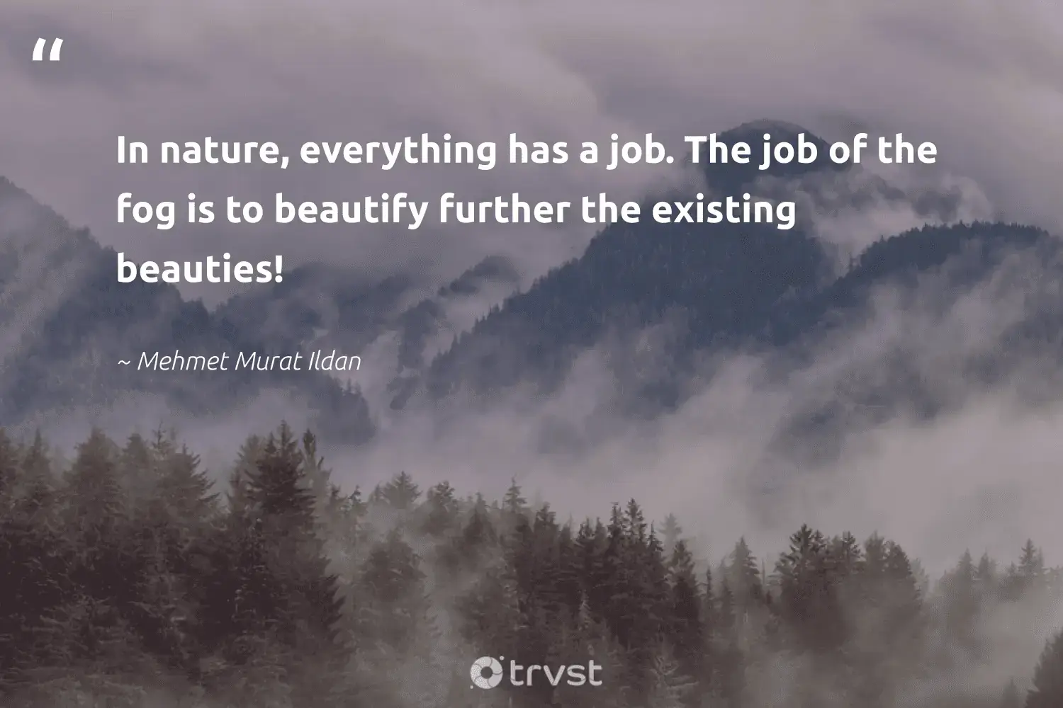 "In nature, everything has a job. The job of the fog is to beautify further the existing beauties!" -Mehmet Murat Ildan #trvst #quotes #earth #noplanetb #foggydays #nature #mist #fogs #fog 