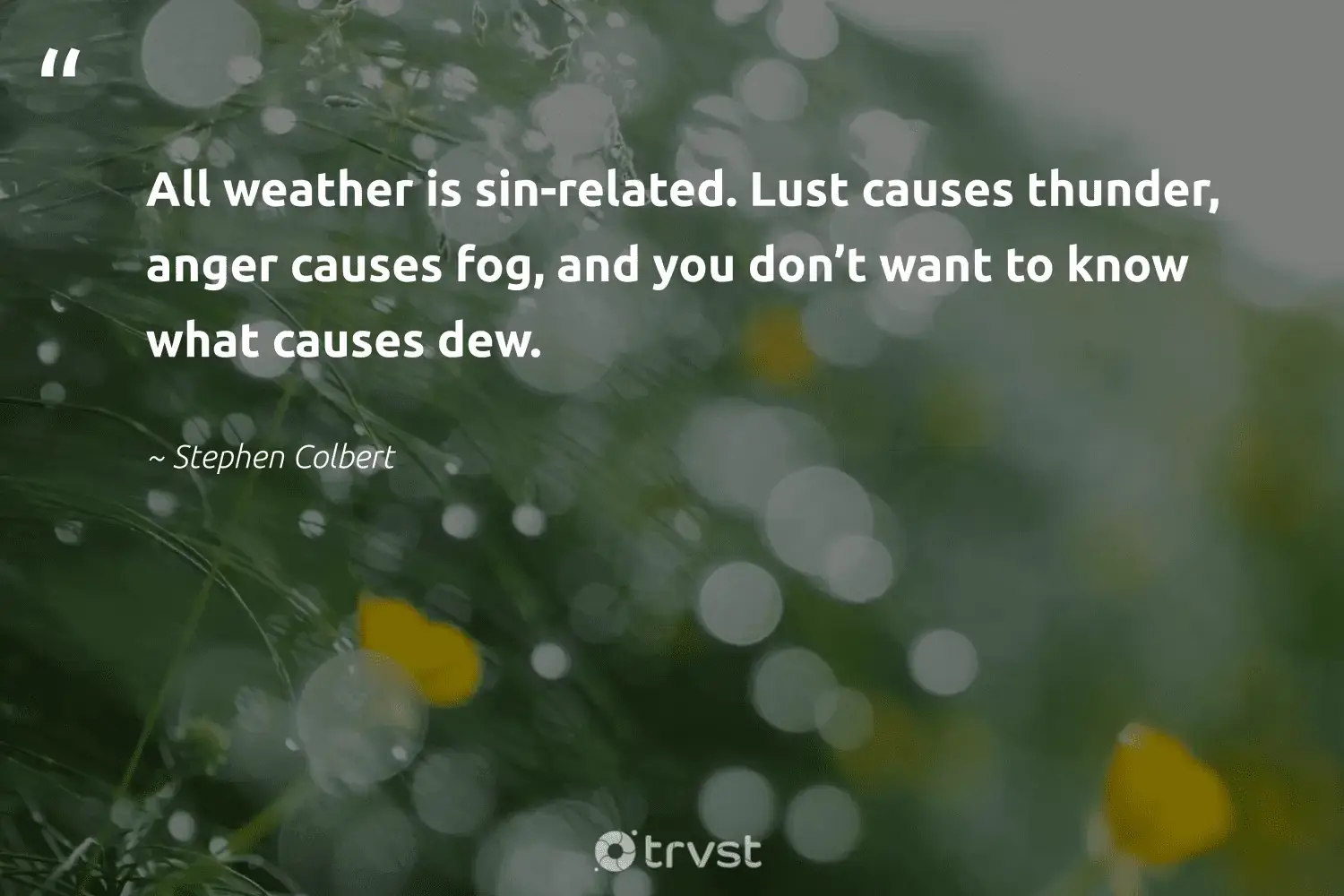 "All weather is sin-related. Lust causes thunder, anger causes fog, and you don’t want to know what causes dew." -Stephen Colbert #trvst #quotes #wildlifeplanet #gogreen #fog #foggydays #mist #fogs #foggy 