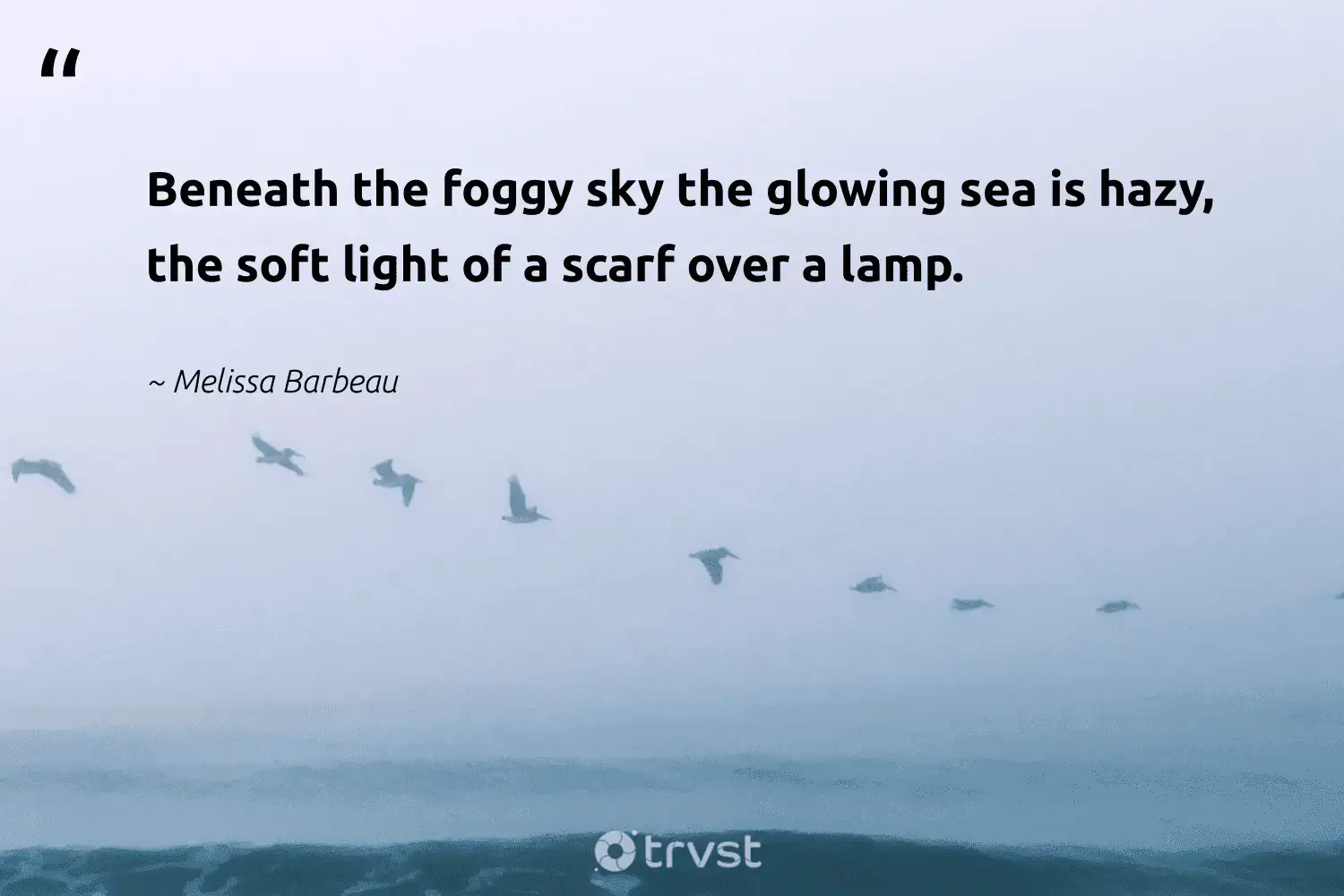 "Beneath the foggy sky the glowing sea is hazy, the soft light of a scarf over a lamp." -Melissa Barbeau #trvst #quotes #naturelovers #savetheplanet #foggydays #light #foggy #fog #fogs 