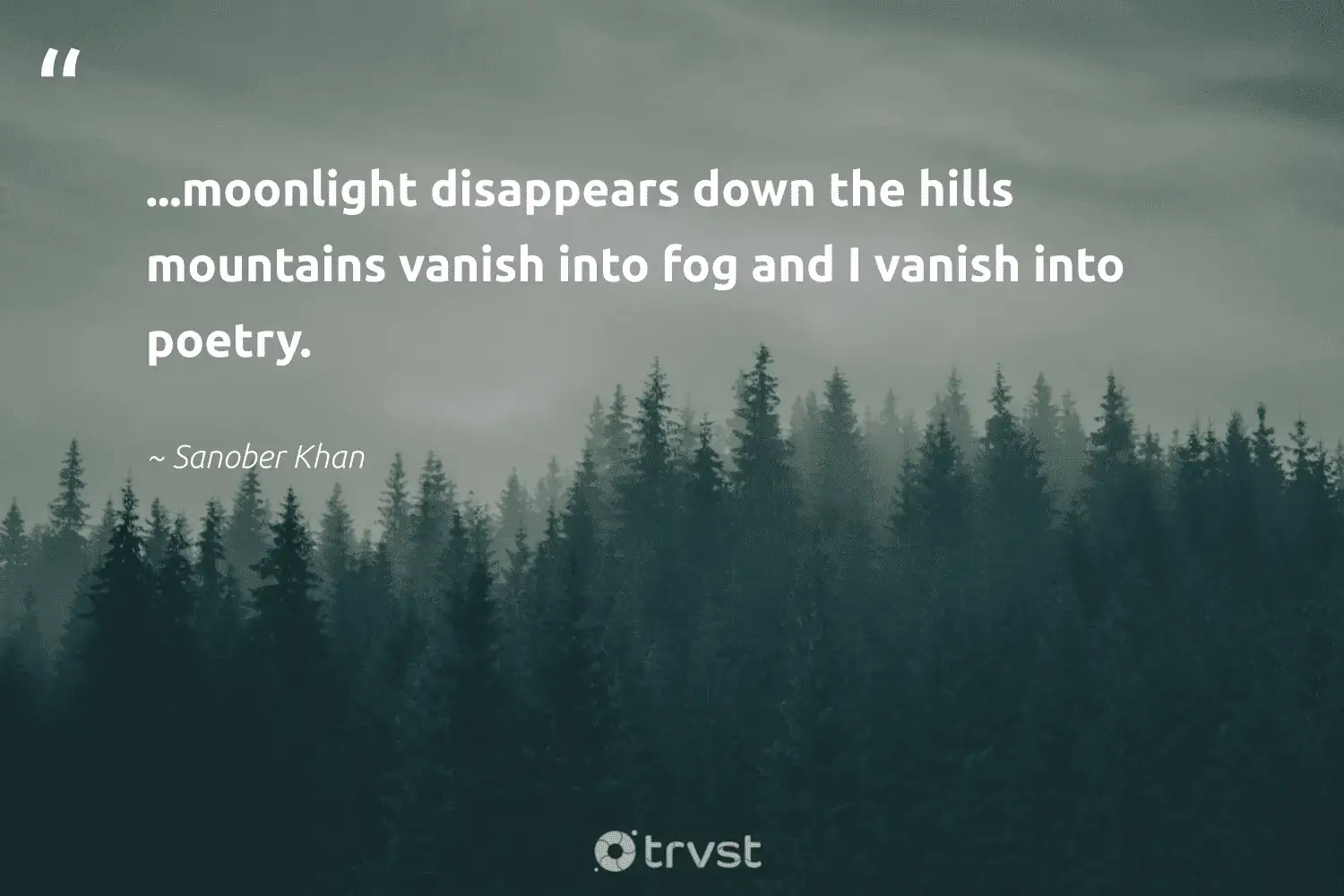 "...moonlight disappears down the hills mountains vanish into fog and I vanish into poetry." -Sanober Khan #trvst #quotes #nature #earth #fogs #poetry #mist #moonlight #foggydays 