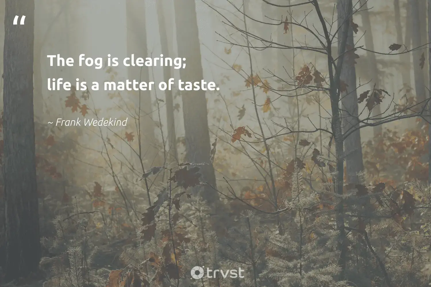 "The fog is clearing; life is a matter of taste." -Frank Wedekind #trvst #quotes #planet #natureseekers #foggy #life #mist #foggydays #fogs 