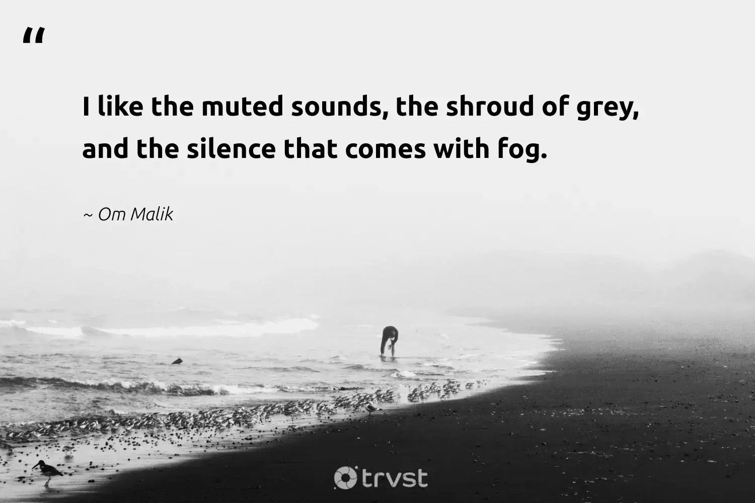 "I like the muted sounds, the shroud of grey, and the silence that comes with fog." -Om Malik #trvst #quotes #mothernature #wildernessnation #mist #silence #fogs #foggydays #foggy 