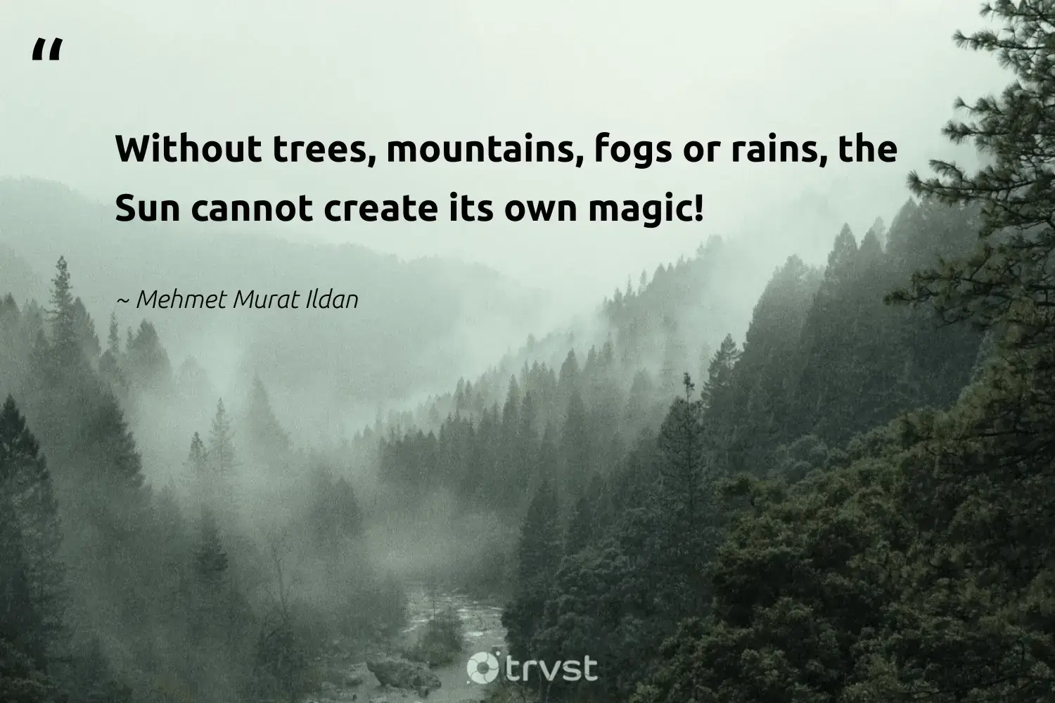 " Without tree , mountain , fog or rain , the Sun is create can not create its own magic ! " -Mehmet Murat Ildan #trvst #quotes #wildlifeplanet #mothernature #foggydays #magic #fogs #trees #mist 