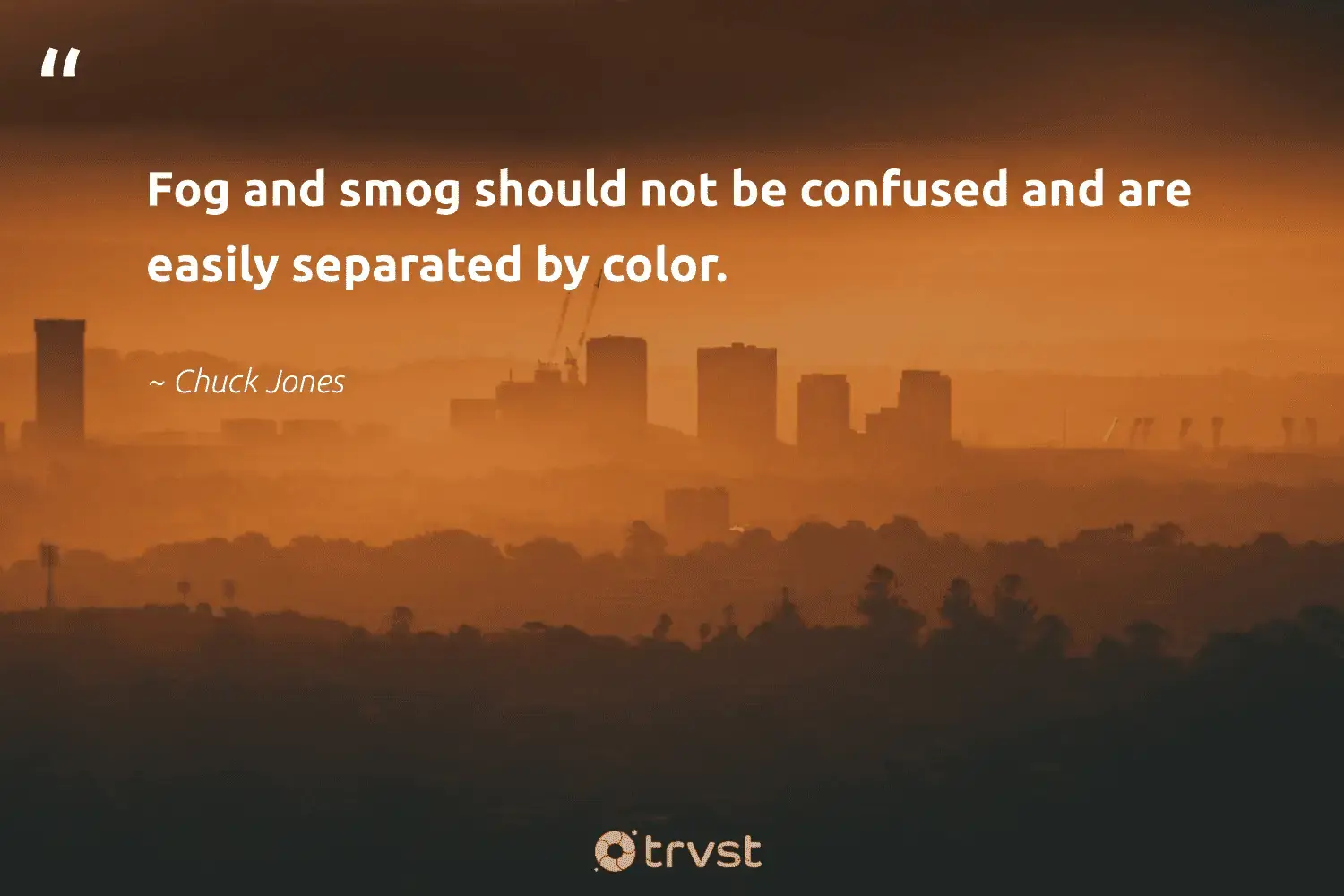 "Fog and smog should not be confused and are easily separated by color." -Chuck Jones #trvst #quotes #wildlifeplanet #mothernature #fog #mist #fogs #foggy #foggydays 