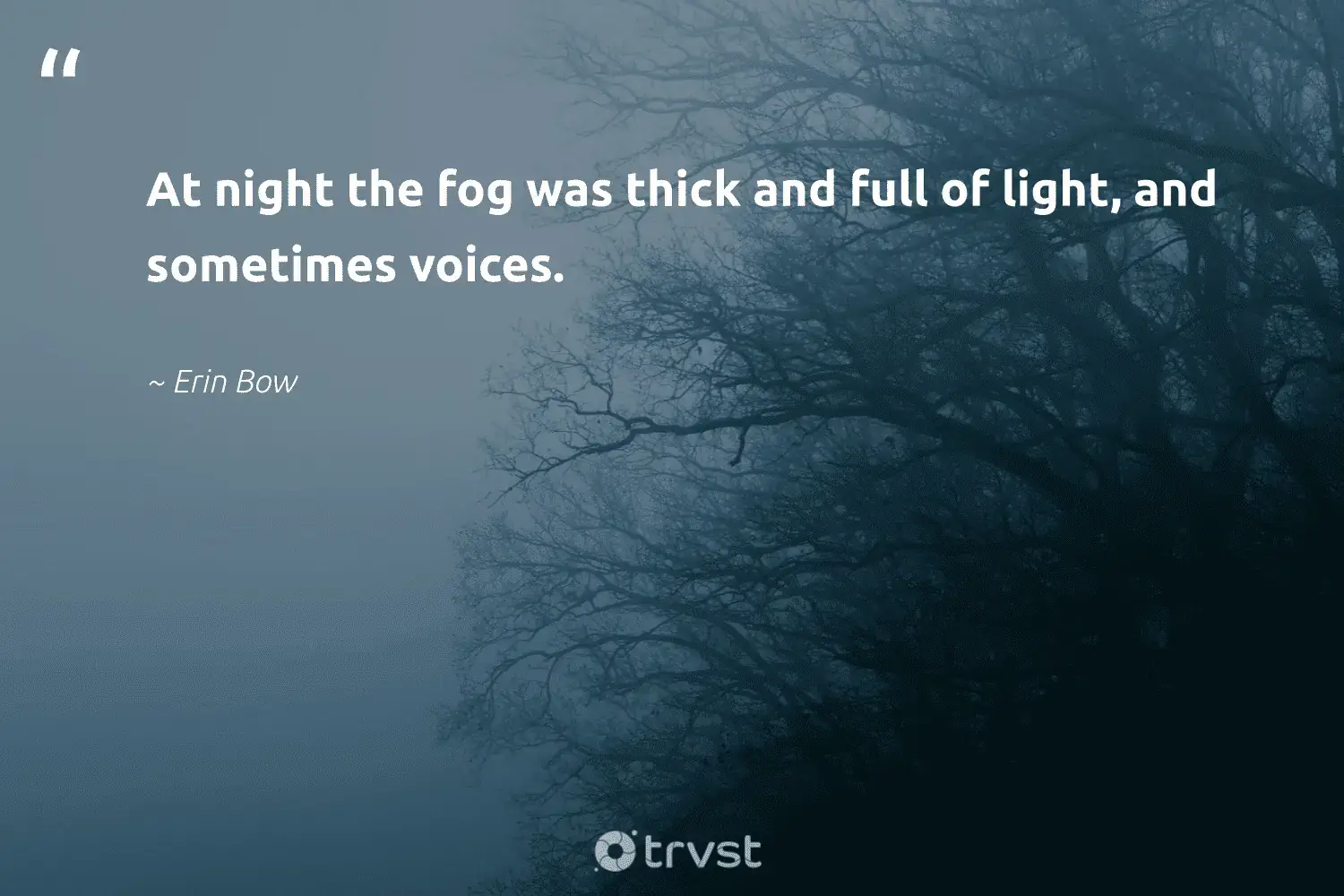 "At night the fog was thick and full of light, and sometimes voices." -Erin Bow #trvst #quotes #earth #environment #mist #light #foggy #fogs #foggydays 