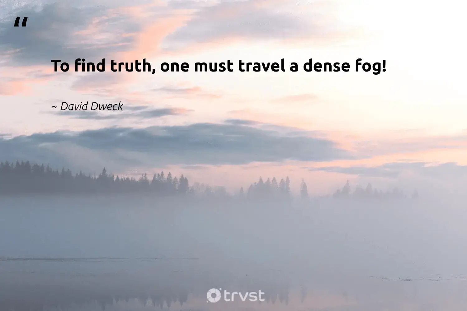 "To find truth, one must travel a dense fog!" -David Dweck #trvst #quotes #noplanetb #naturelovers #fog #foggy #mist #foggydays #fogs 