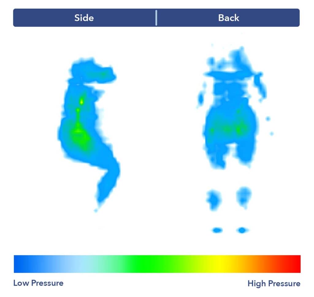 Pressure Map - DreamCloud Premier Foam