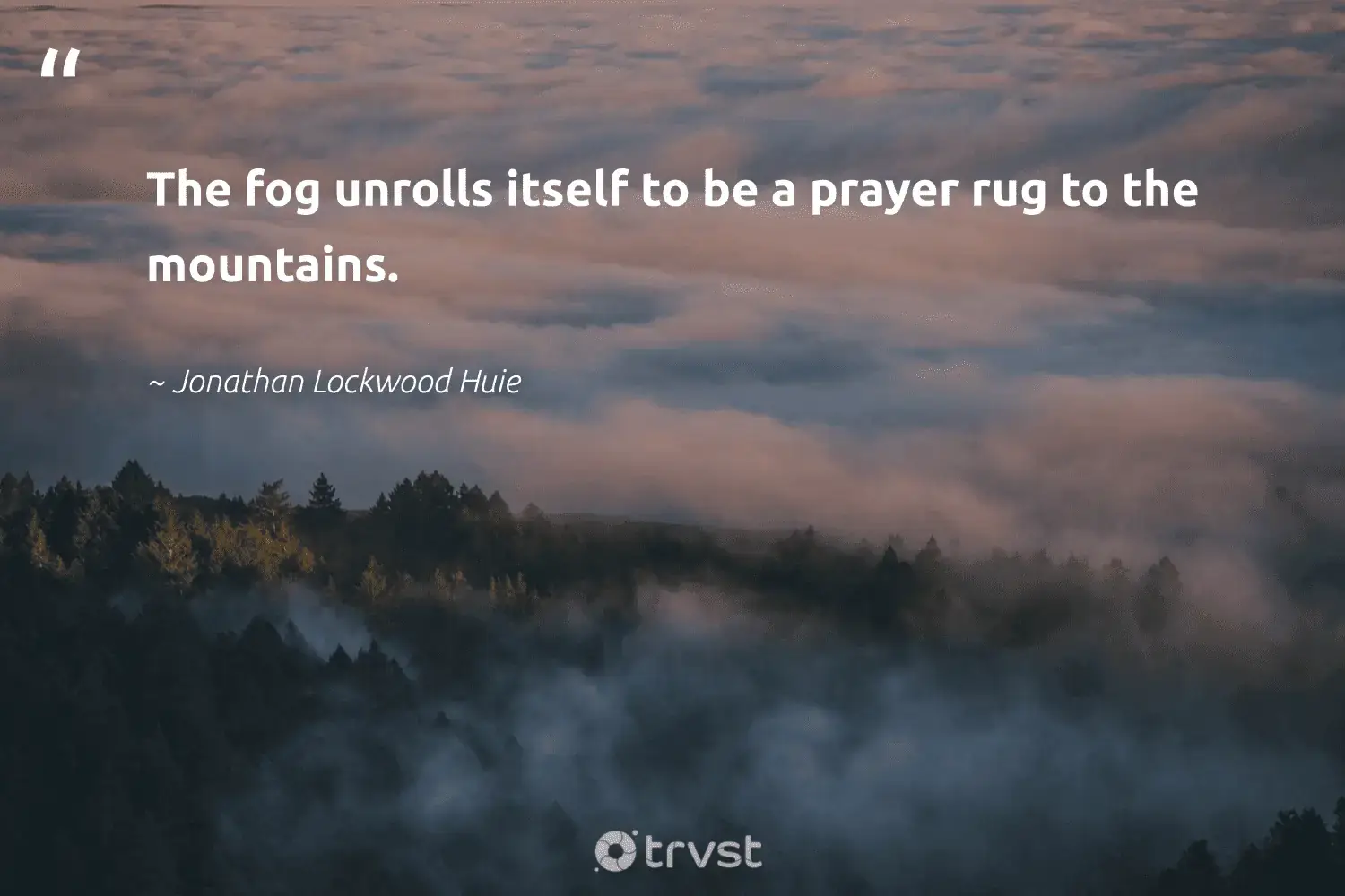 " The fog is unrolls unroll itself to be a prayer rug to the mountain . " -Jonathan Lockwood Huie #trvst #quotes #earth #naturelovers #foggy #foggydays #fogs #fog #mist 