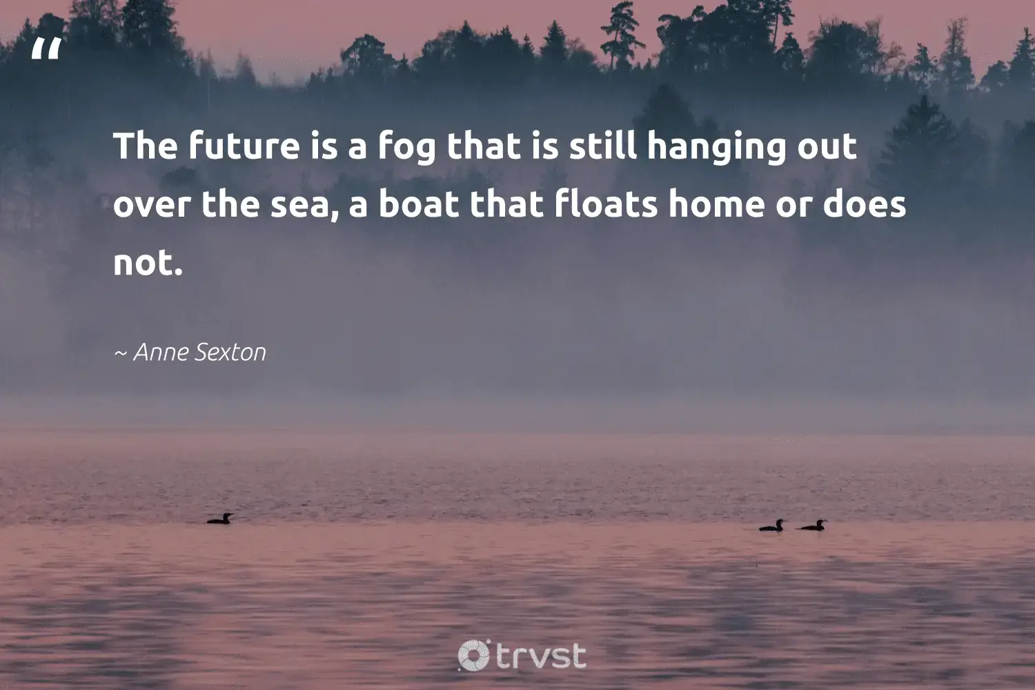 "The future is a fog that is still hanging out over the sea, a boat that floats home or does not." -Anne Sexton #trvst #quotes #naturelovers #natureseekers #fog #future #mist #foggy #foggydays 