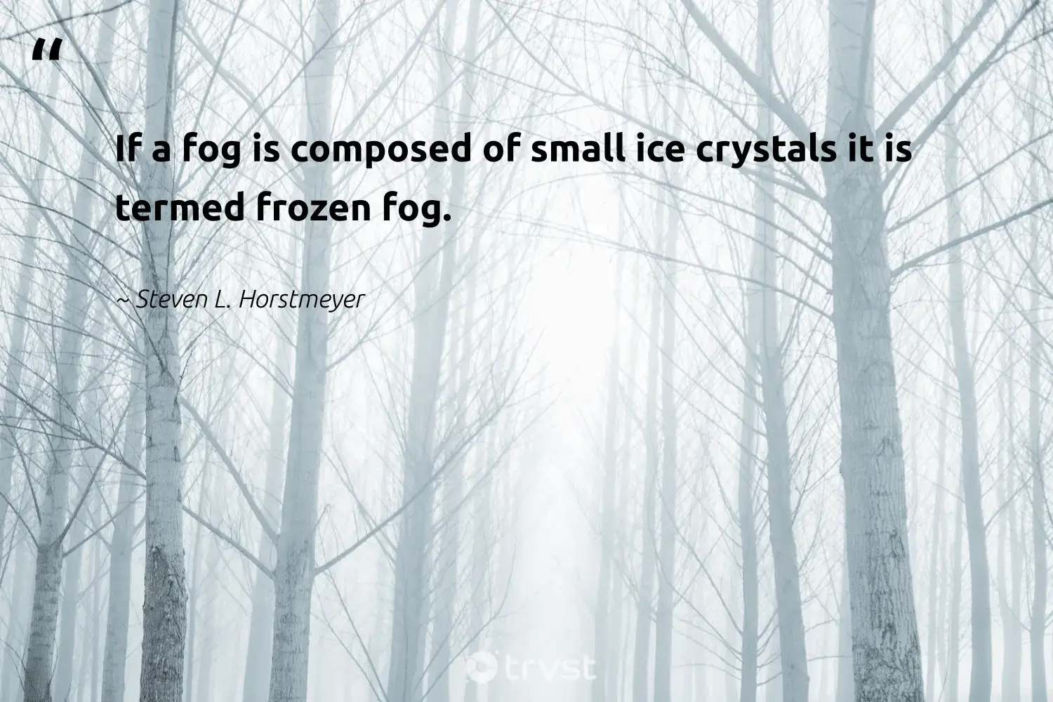 "If a fog is composed of small ice crystals it is termed frozen fog." -Steven L. Horstmeyer #trvst #quotes #naturelovers #conservation #foggydays #mist #fogs #foggy #fog 