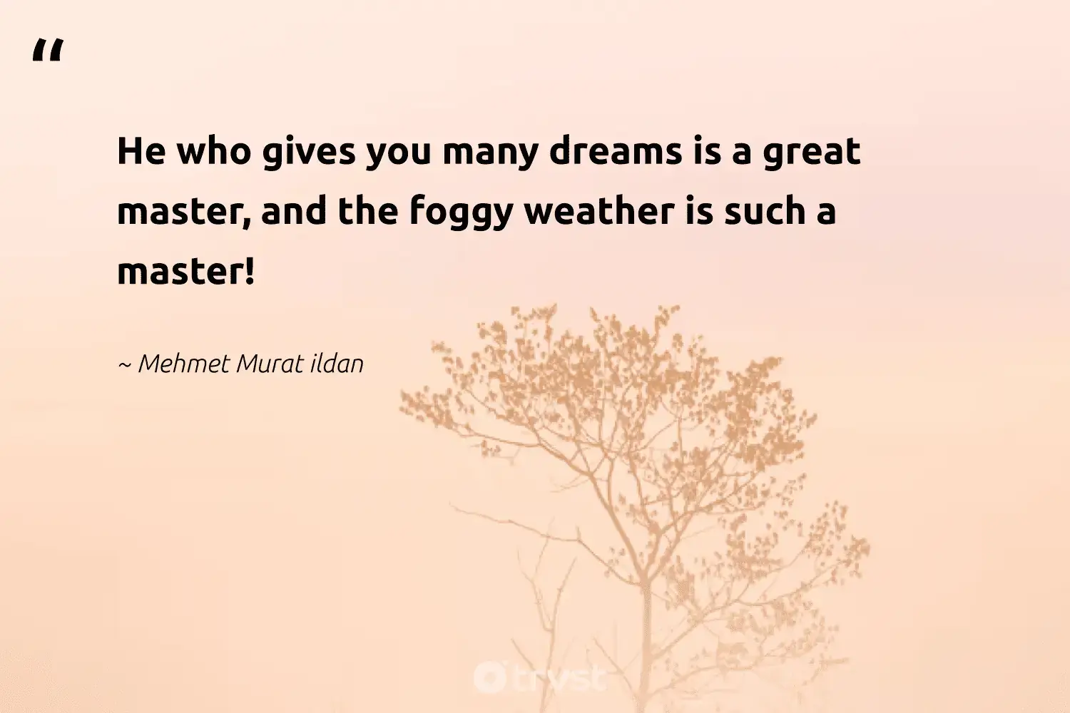 "He who gives you many dreams is a great master, and the foggy weather is such a master!" -Mehmet Murat ildan #trvst #quotes #noplanetb #planet #fogs #foggydays #mist #foggy #fog 