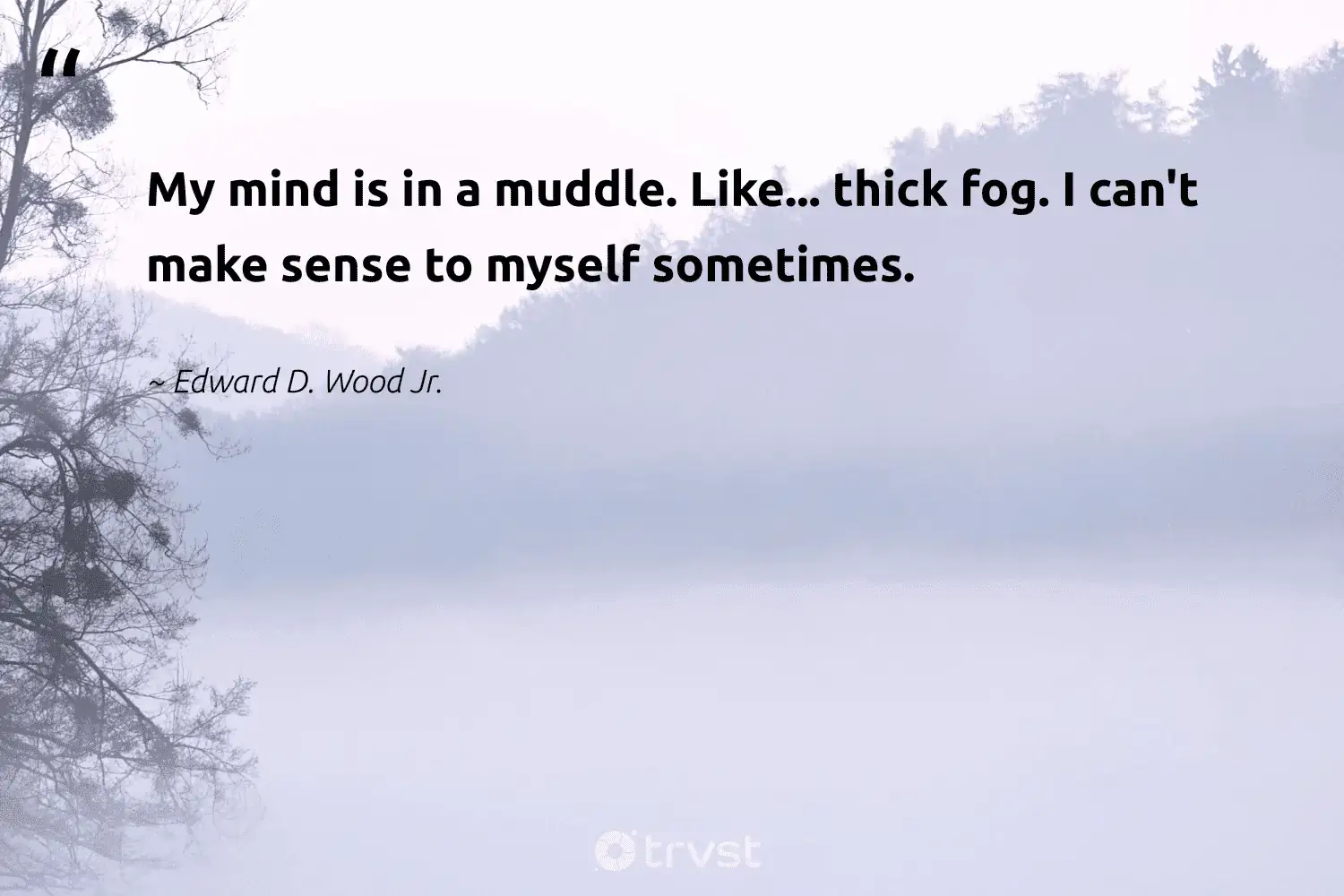 "My mind is in a muddle. Like... thick fog. I can't make sense to myself sometimes." -Edward D. Wood Jr. #trvst #quotes #nature #wildernessnation #fogs #foggy #foggydays #mist #fog 