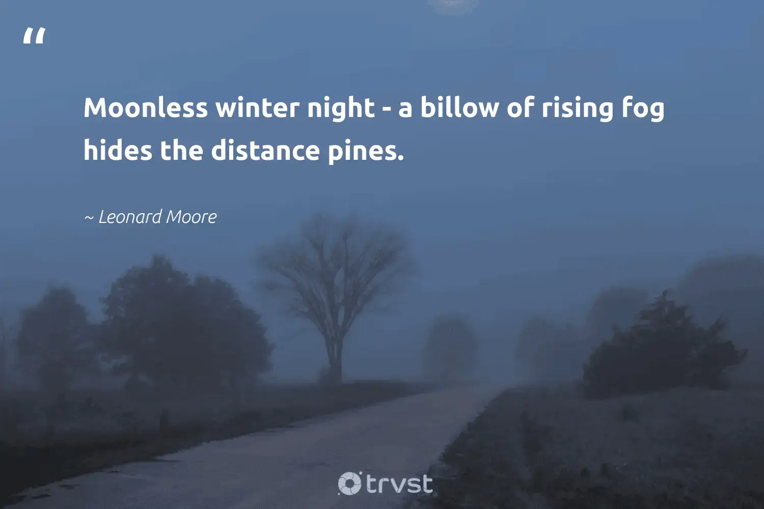 "Moonless winter night - a billow of rising fog hides the distance pines." -Leonard Moore #trvst #quotes #planet #noplanetb #fog #foggy #mist #foggydays #fogs 