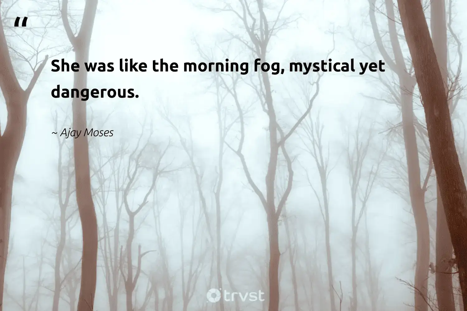 " She is was was like the morning fog , mystical yet dangerous . " -Ajay Moses #trvst #quotes #gogreen #conservation #foggydays #mist #fog #fogs #foggy 