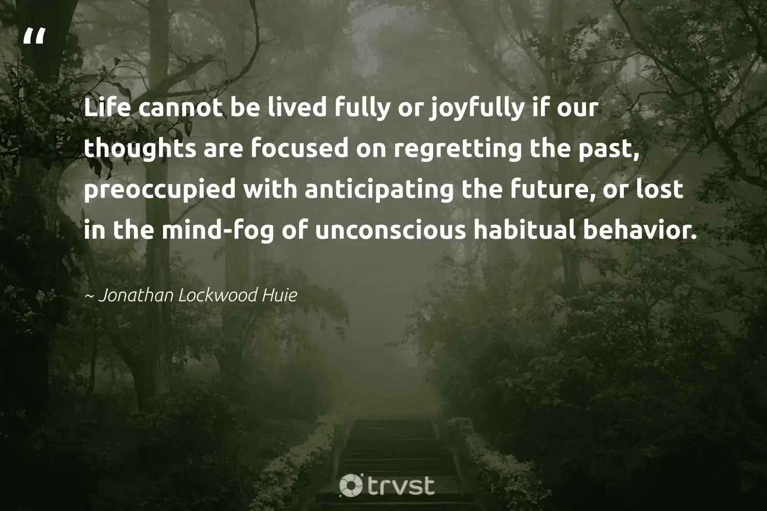 "Life cannot be lived fully or joyfully if our thoughts are focused on regretting the past, preoccupied with anticipating the future, or lost in the mind-fog of unconscious habitual behavior." -Jonathan Lockwood Huie #trvst #quotes #natureseekers #nature #mist #future #fog #foggy #foggydays 