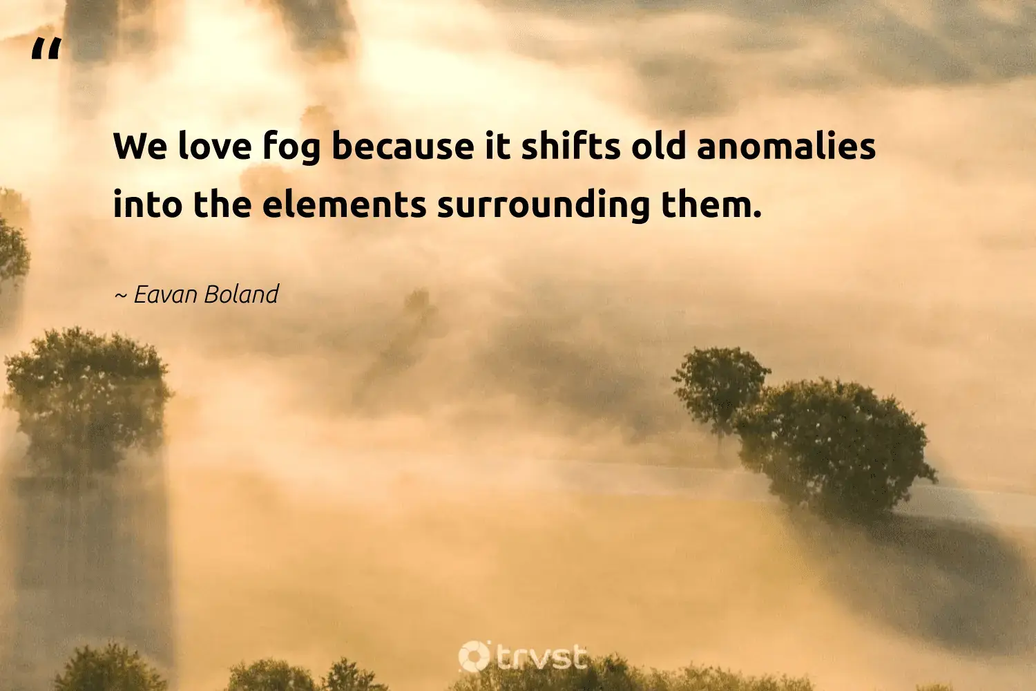 "We love fog because it shifts old anomalies into the elements surrounding them." -Eavan Boland #trvst #quotes #environment #natureseekers #mist #love #foggy #foggydays #fog 