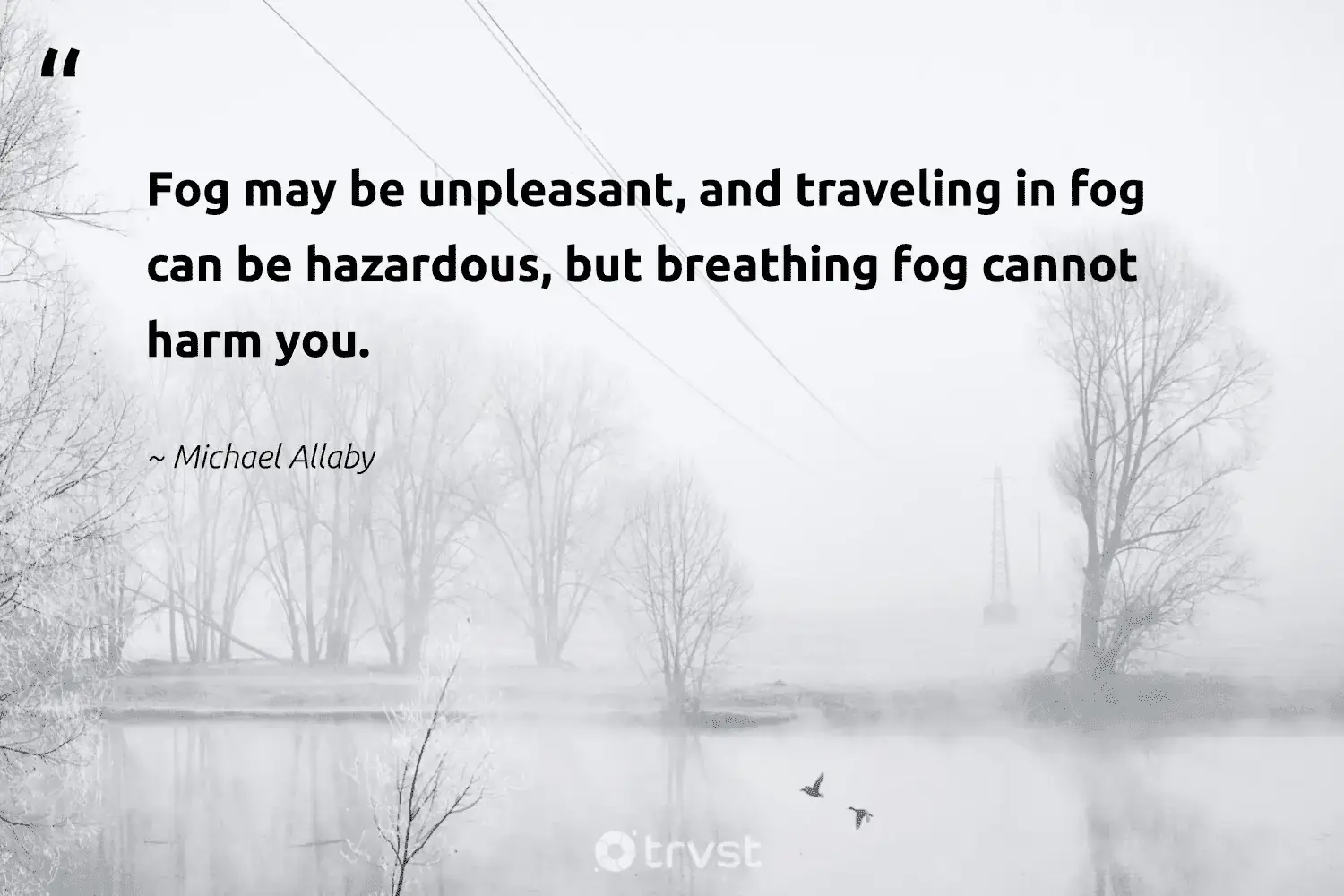 "Fog may be unpleasant, and traveling in fog can be hazardous, but breathing fog cannot harm you." -Michael Allaby #trvst #quotes #planet #conservation #foggy #fog #foggydays #mist #fogs 