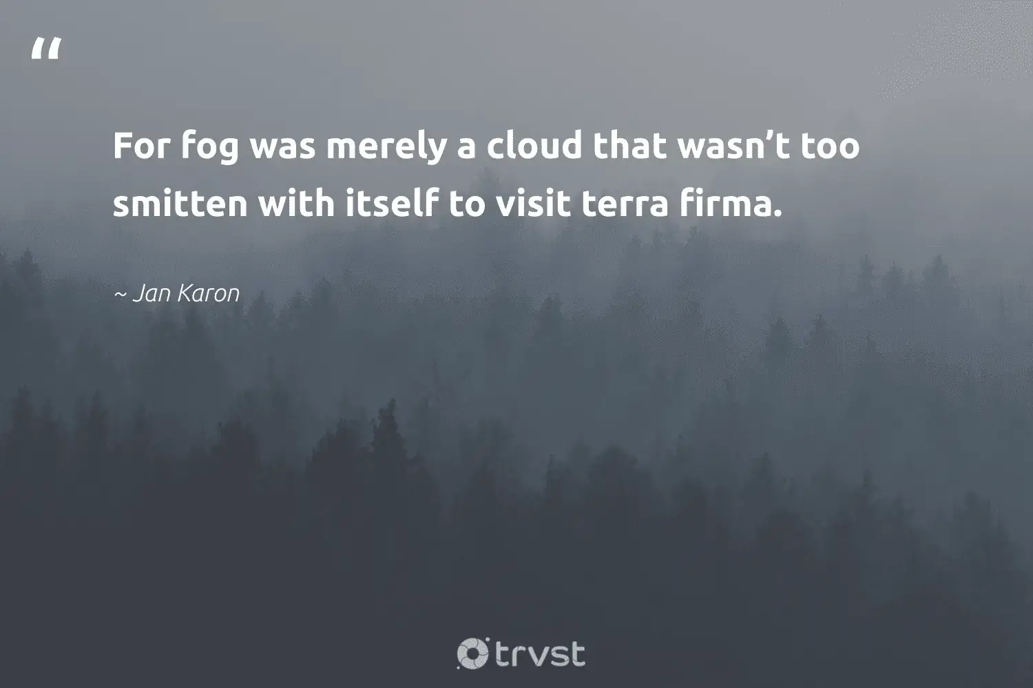 "For fog was merely a cloud that wasn’t too smitten with itself to visit terra firma." -Jan Karon #trvst #quotes #getoutside #nature #foggy #fog #foggydays #mist #fogs 