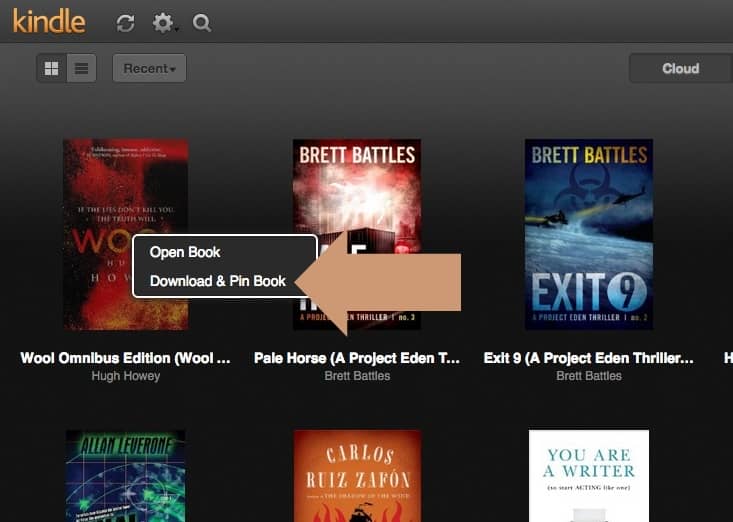 Kindle Cloud Reader - download and pin book