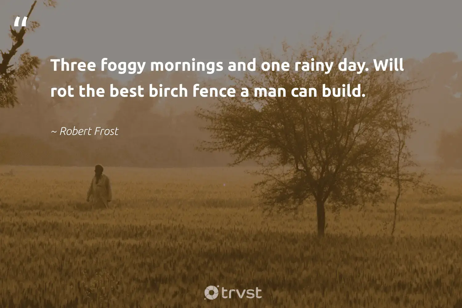 "Three foggy mornings and one rainy day. Will rot the best birch fence a man can build." -Robert Frost #trvst #quotes #environment #conservation #fogs #foggy #mist #fog #foggydays 