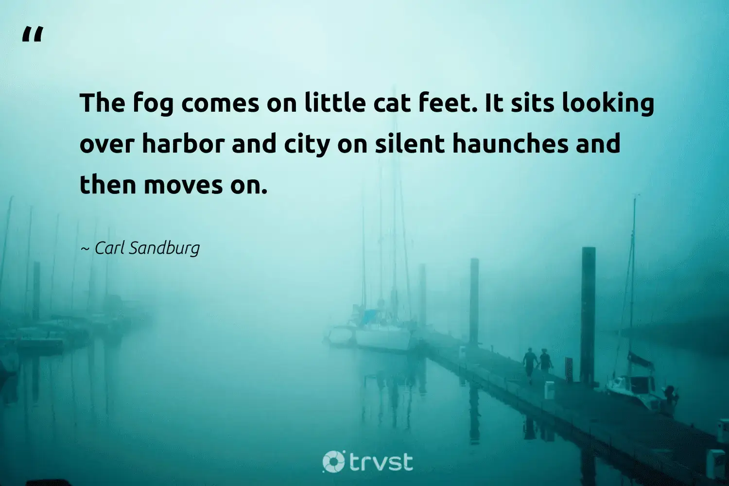 "The fog comes on little cat feet. It sits looking over harbor and city on silent haunches and then moves on." -Carl Sandburg #trvst #quotes #natureseekers #planet #fogs #cat #foggydays #silent #foggy 