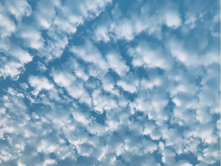 altocumulus