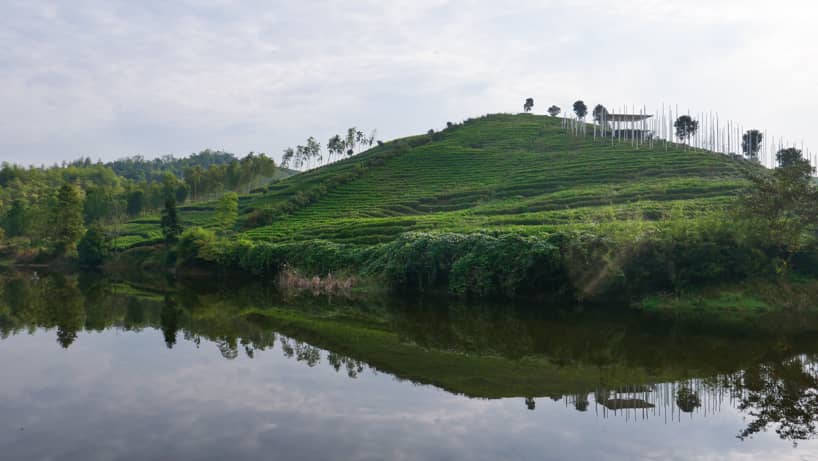 cloud tea room emerges from chinese hillside along with white steel poles infusing fog