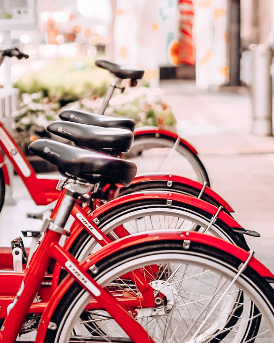 Bikes in Houston