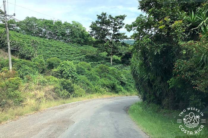 Road through countryside half-paved half-gravel