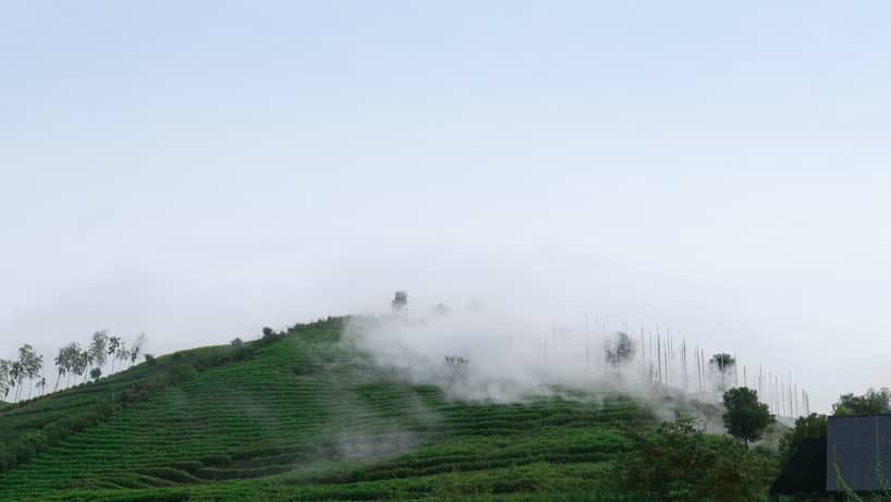 cloud tea room emerges from chinese hillside along with white steel poles infusing fog