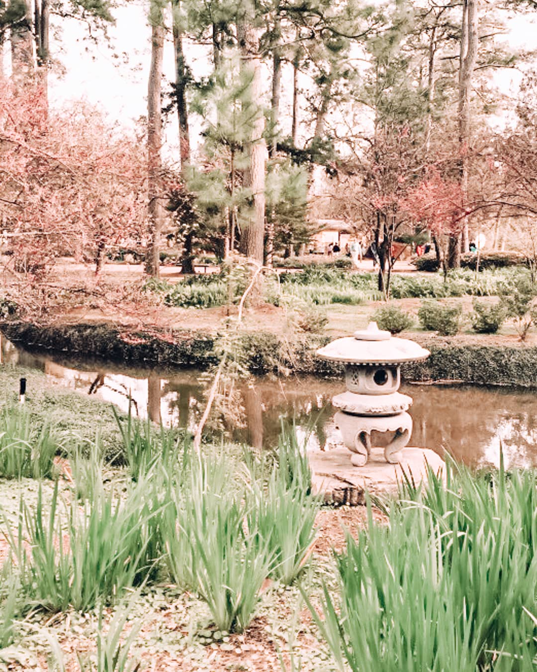 Nature at the Japanese Garden in Houston