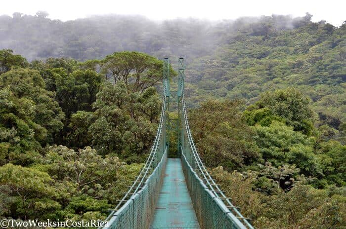 Monteverde: A Forest in the Clouds