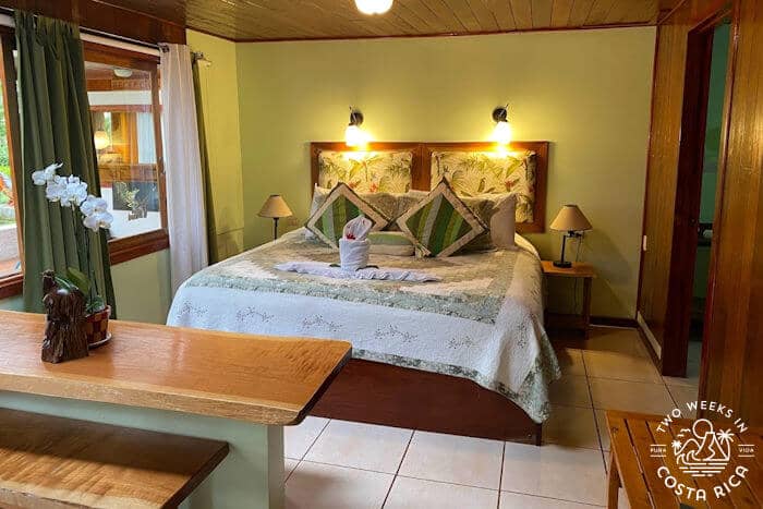 Hotel room with nicely decorated bed and large window