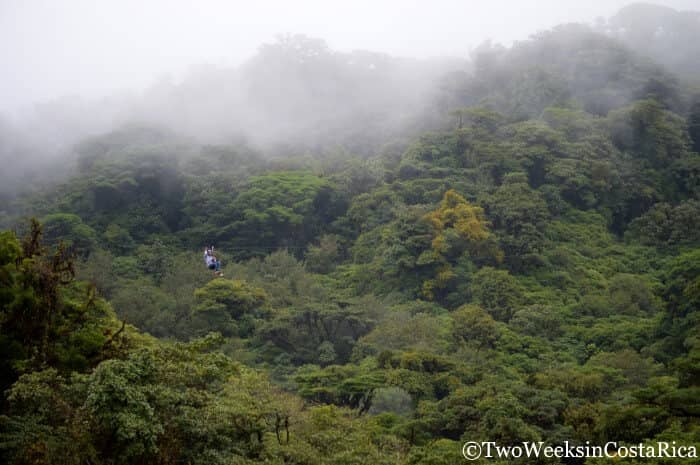 Monteverde: A Forest in the Clouds - Zip Lining through the Cloud Forest