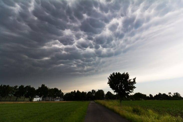 Mammatus clouds