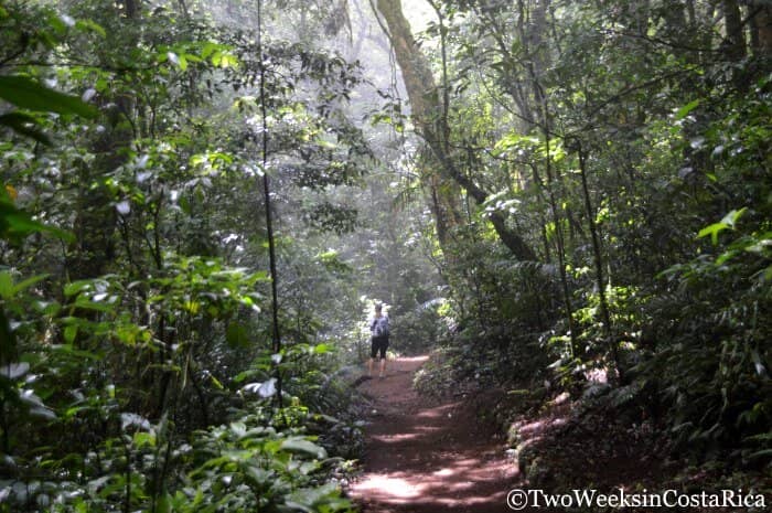 Monteverde: A Forest in the Clouds - Hiking Curi Cancha Reserve