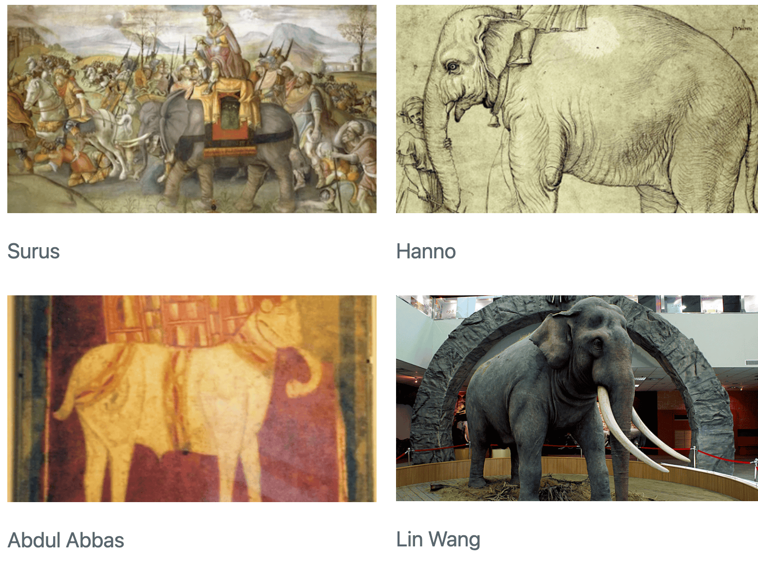 A 2x2 grid of pictures of elephants. There are labels underneath each of the pictures. Clockwise from the upper left, the labels say: Surus, Hanno, Lin Wang,  andAbdul Abbas.